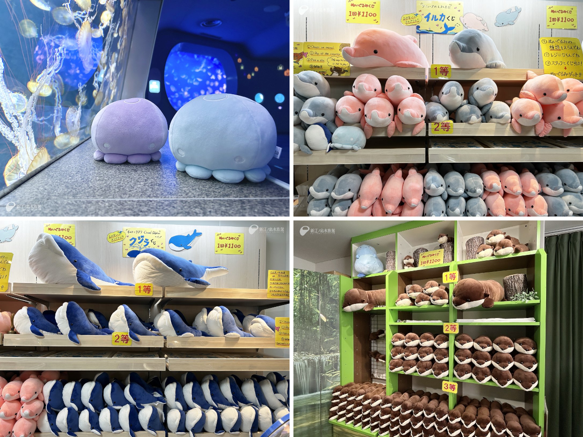 新江ノ島水族館 on X: 