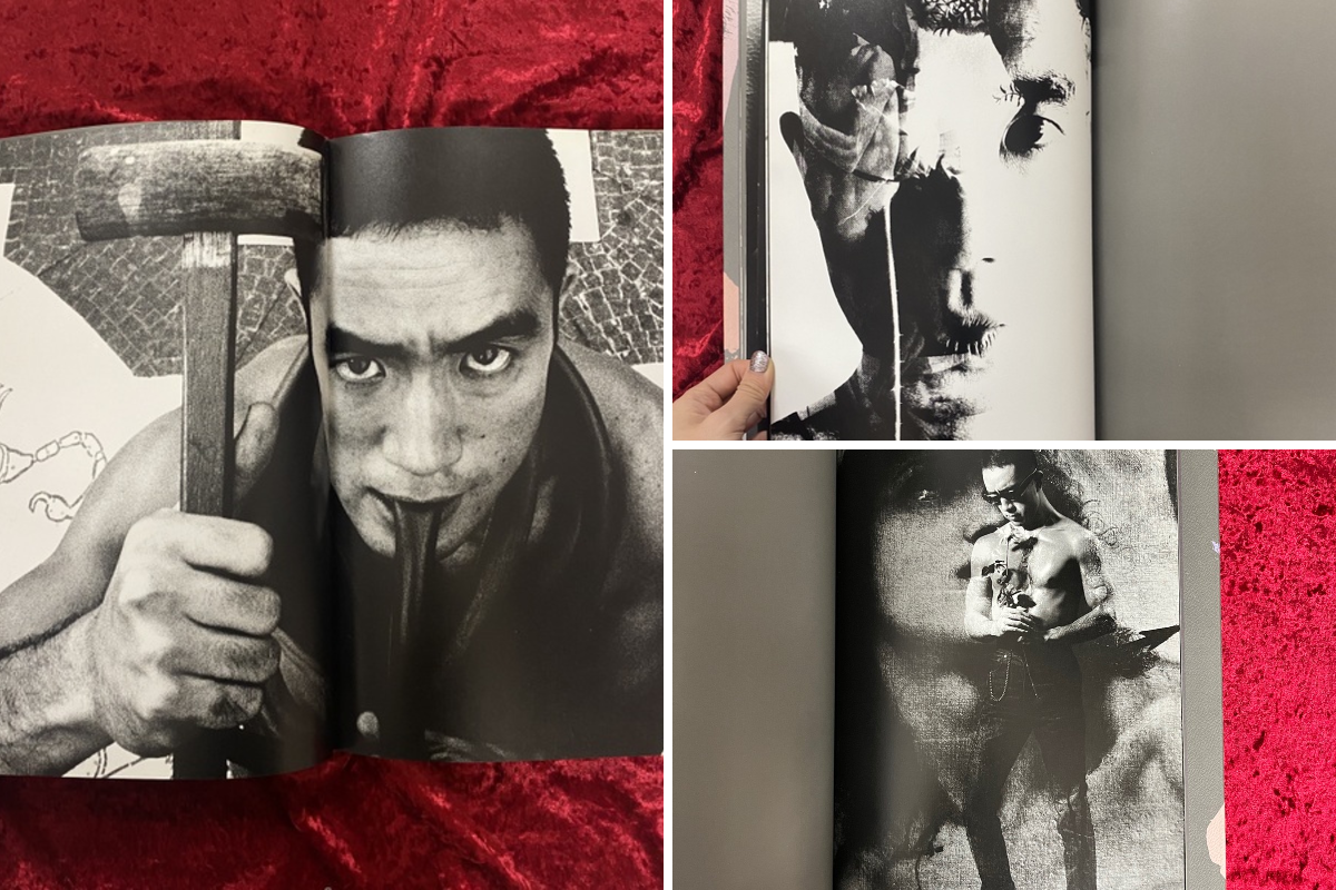 幻想系古本屋 古書ドリス on X: 