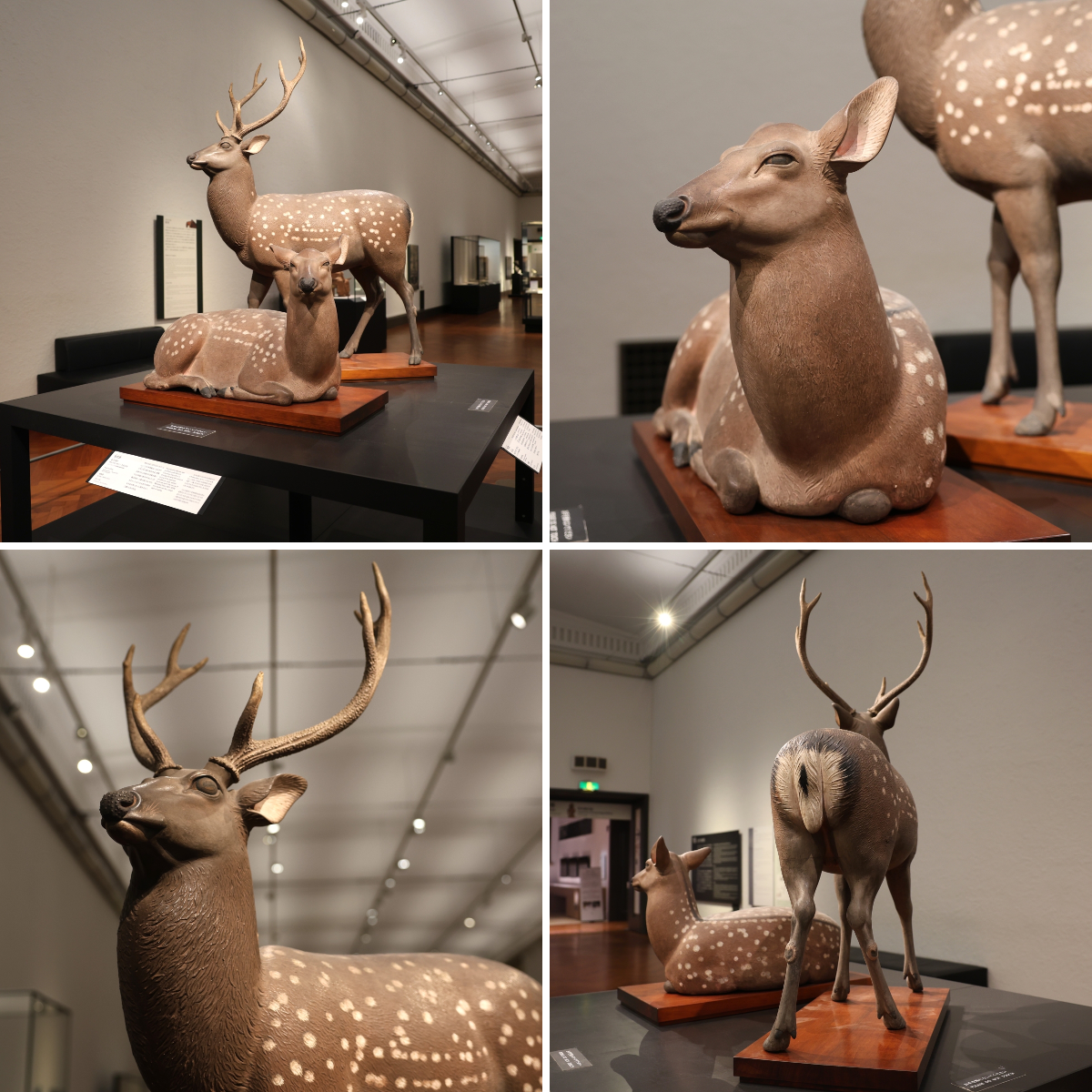 東京国立博物館 広報室 on X: 