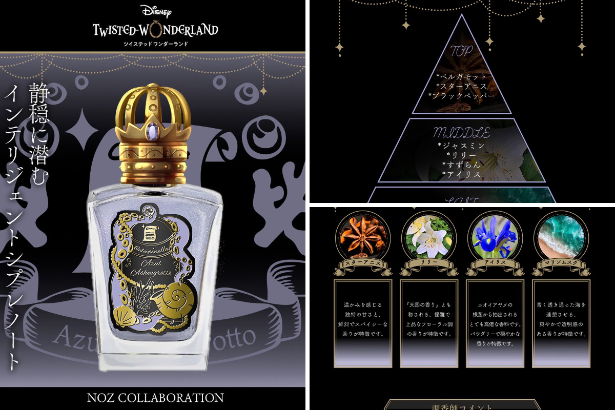 NOZ COLLABORATION on X: 