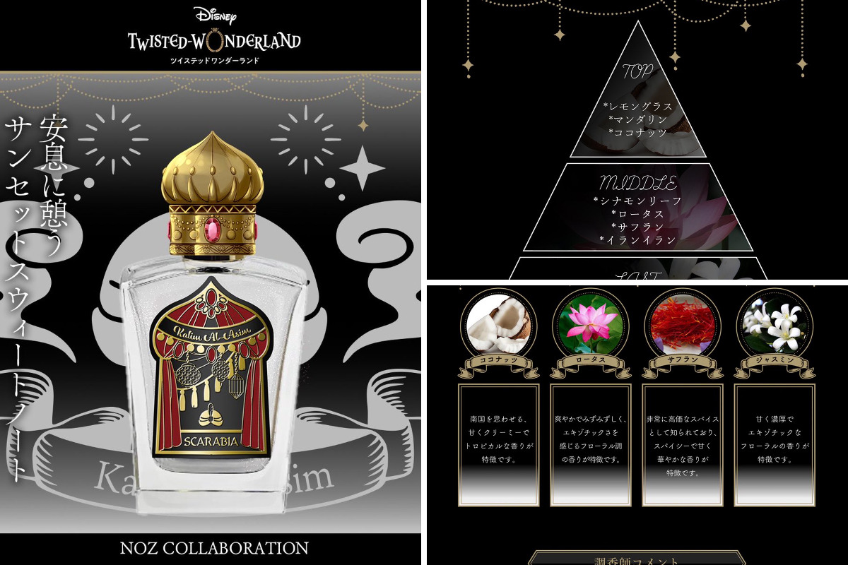 NOZ COLLABORATION a X: 