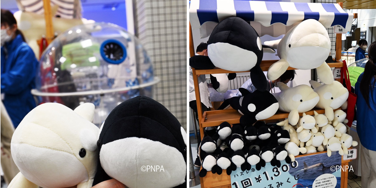 名古屋港水族館 on X: 