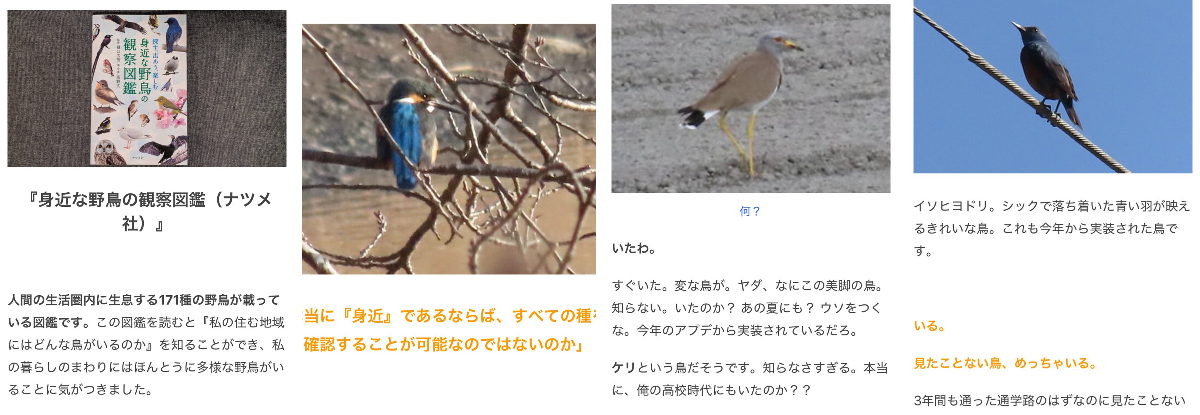 ネンネン鳥　61-62 参考ページ 2011634946641637834