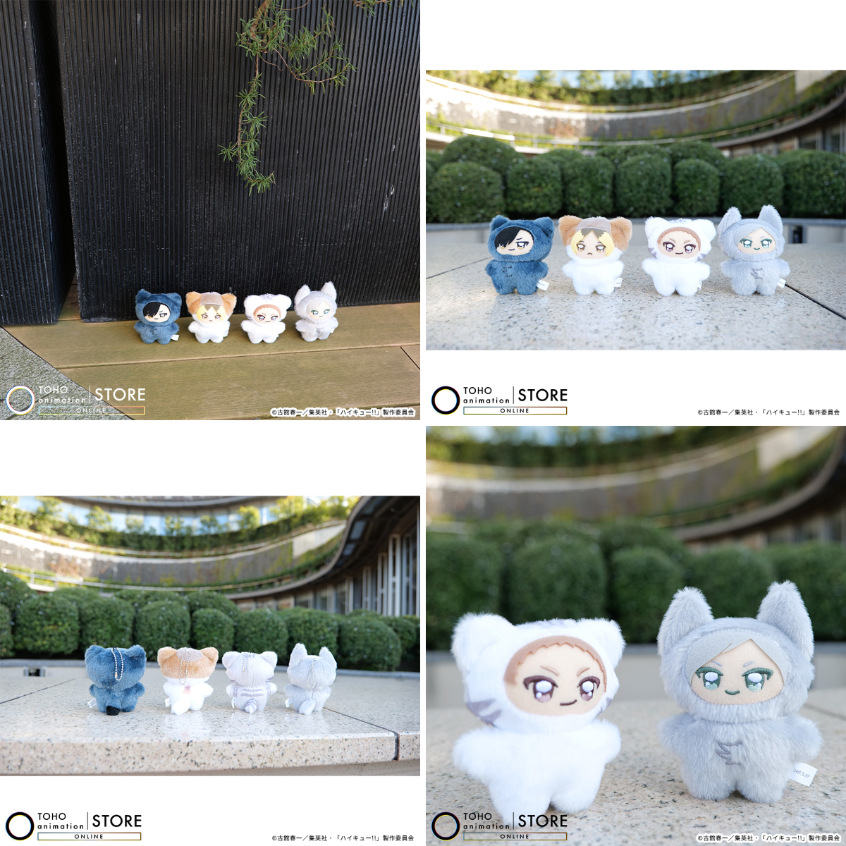 TOHO animation STORE ONLINE on X: 