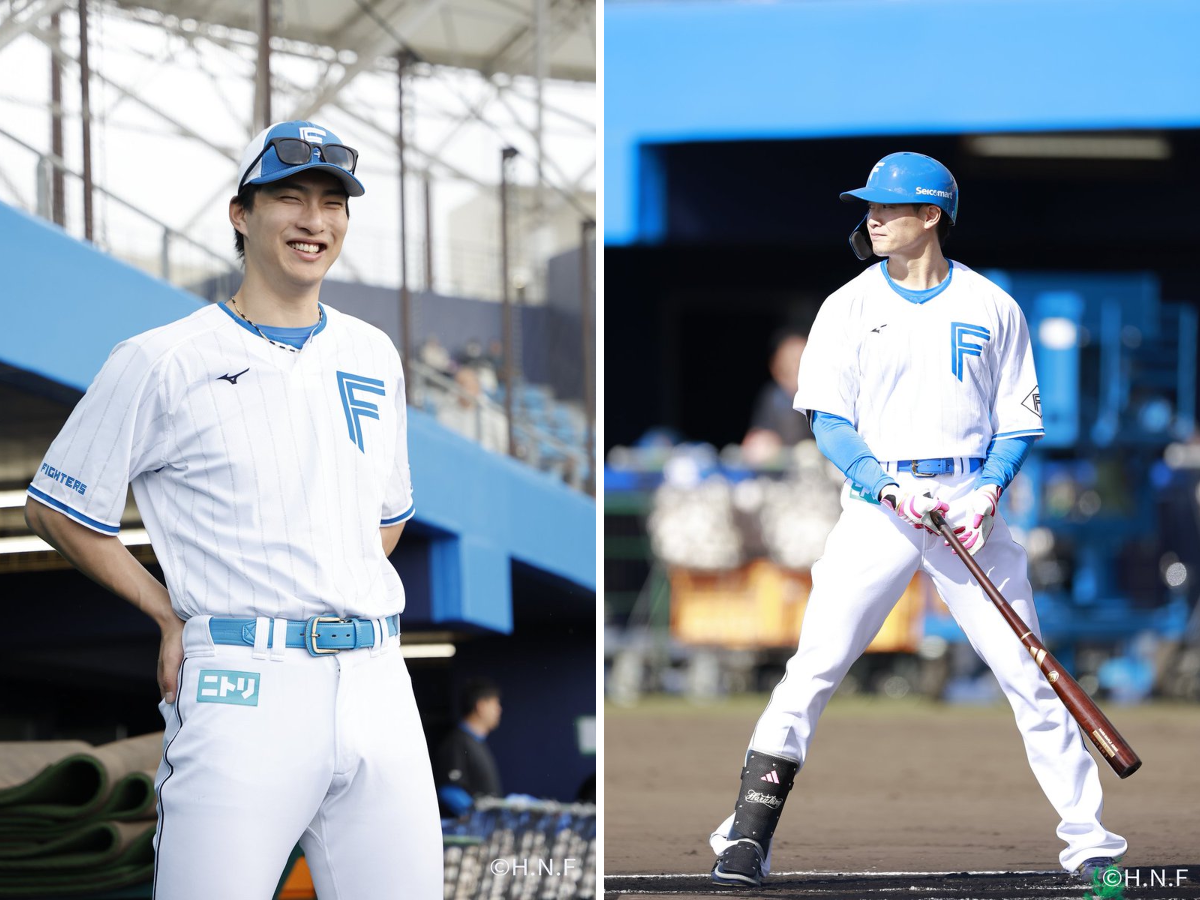 北海道日本ハムファイターズ グッズ【公式】 on X: 