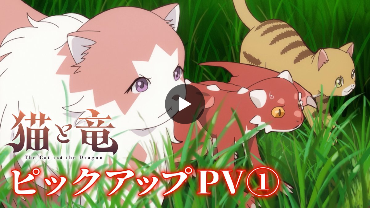 猫と竜』公式【㊗️第2期制作決定！】 on X: 