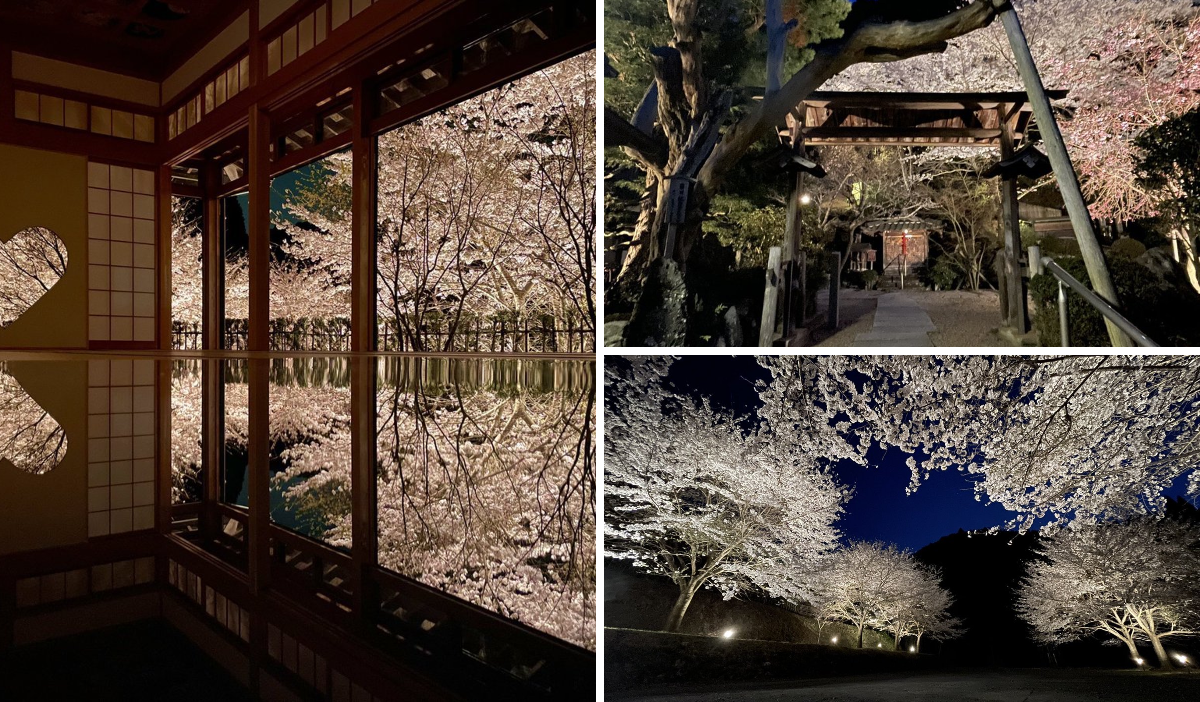 正寿院（風鈴寺）shojuin on X: 