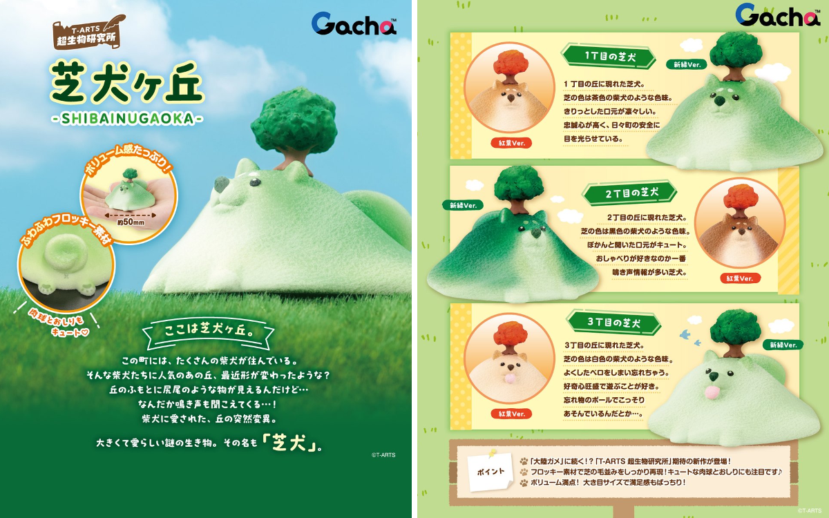 かおさん　様　柴犬プレミアムコース２+ガチャ３ かおさん 様 柴犬プレミアムコース2+ガチャ3 幸柴 SACHISHIBA 全6種