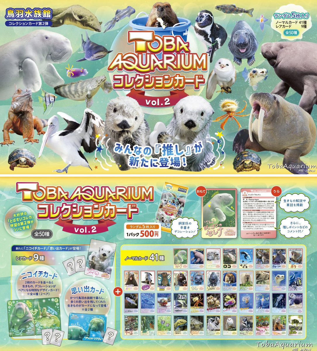 鳥羽水族館（TOBA AQUARIUM） on X: 