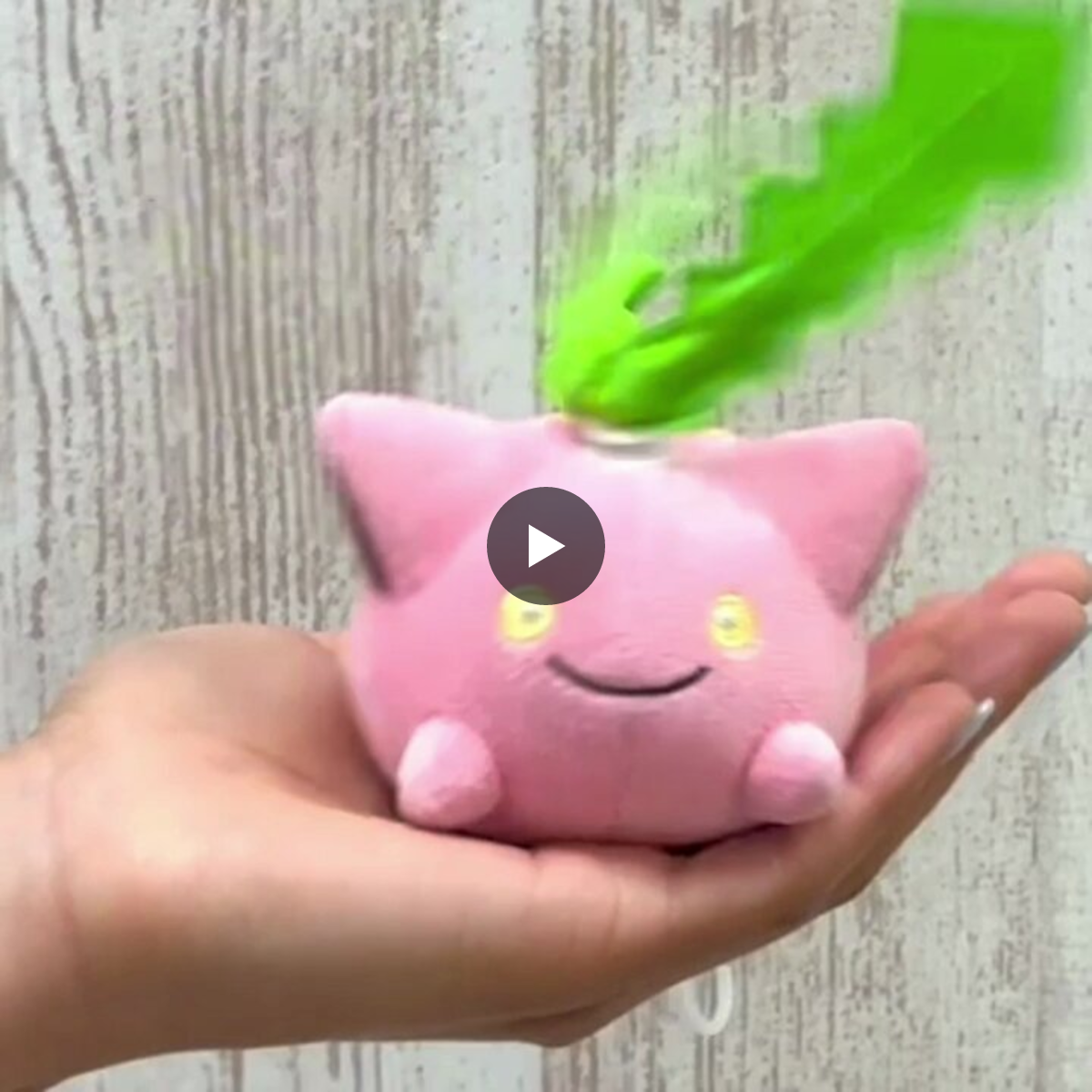 ポケモンだいすきクラブ編集部【公式】 on X