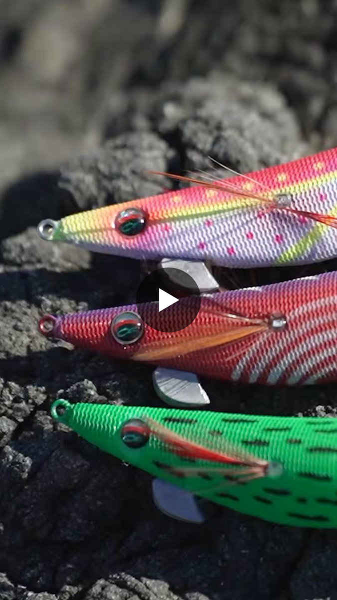DAIWA SW Fishing Shore on X: 