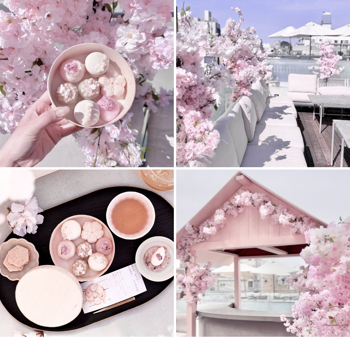🎀🧸Ginger Garden AOYAMA ジンジャーガーデン on X