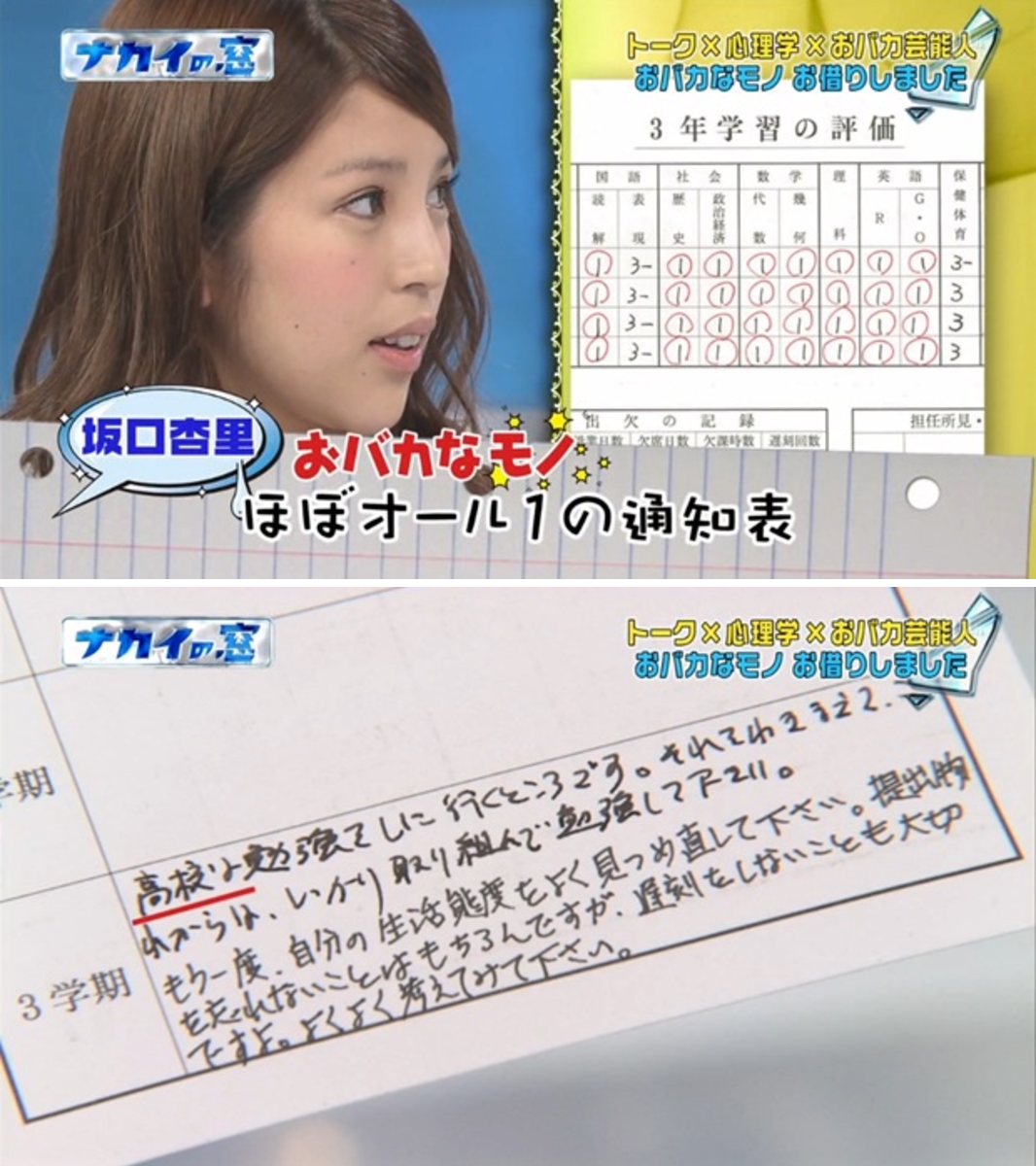 活動歴および当時の関連ビジュアル記録