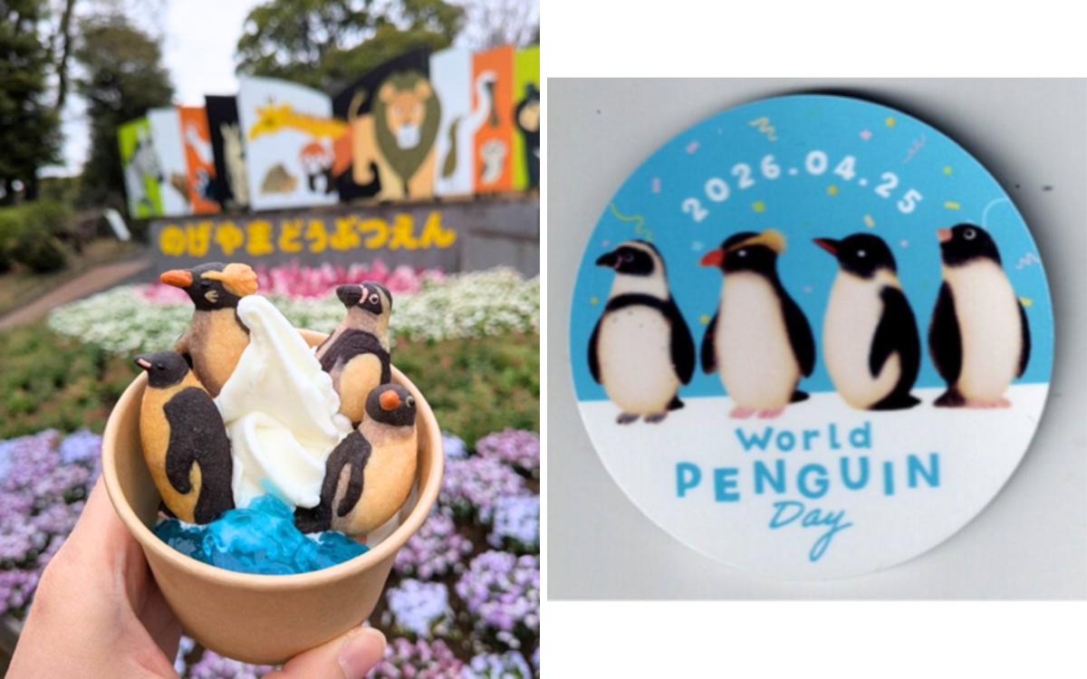 横浜市立野毛山動物園≪公式≫ on X: 