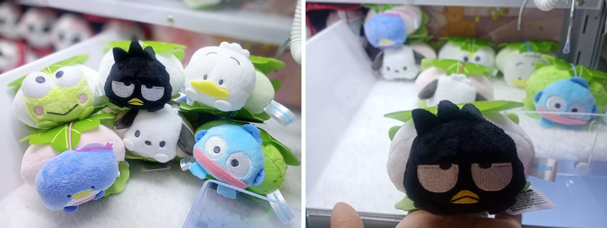 🧸ラウンドワン池袋店景品情報🎮 on X: 