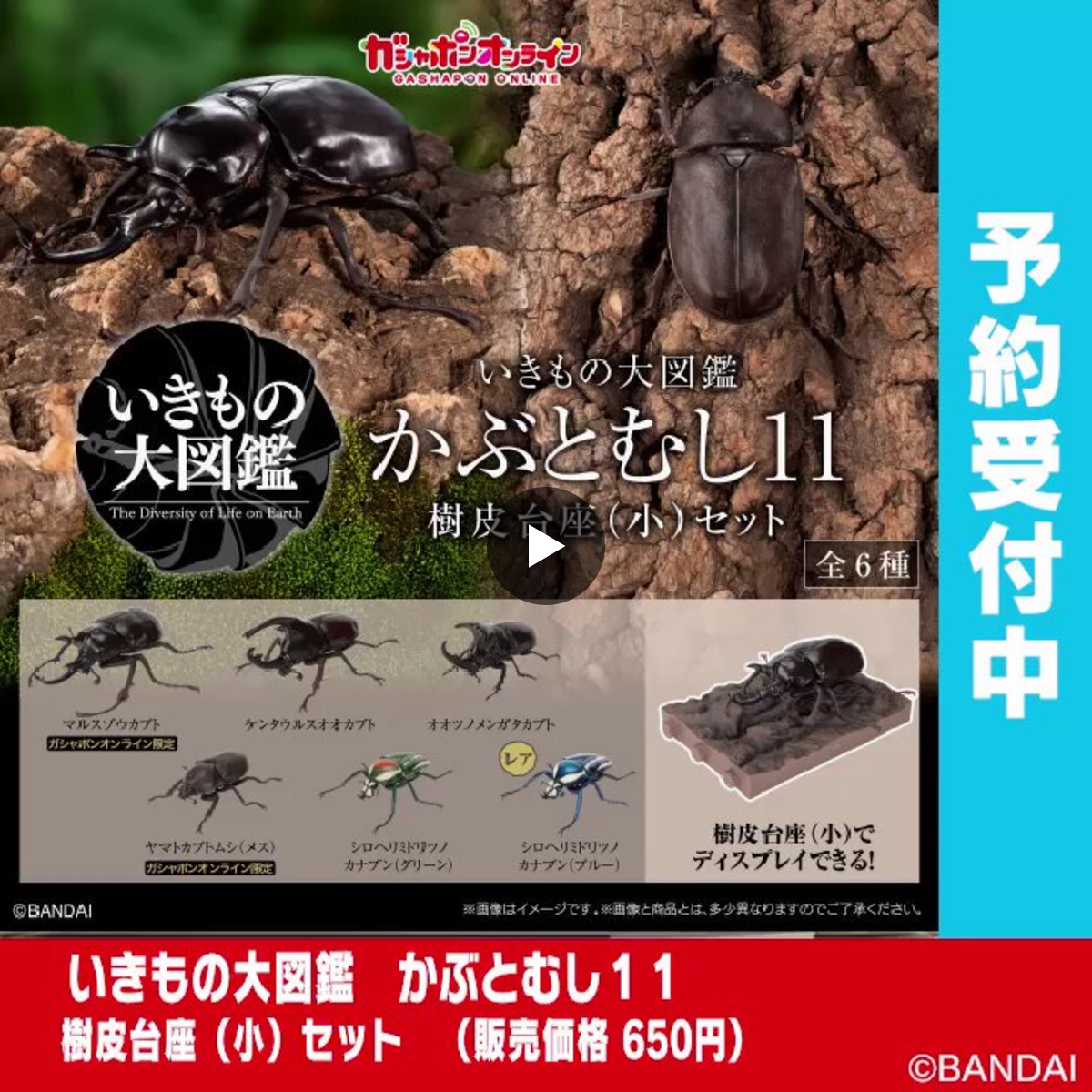 公式】バンダイ ガシャポン on X: 