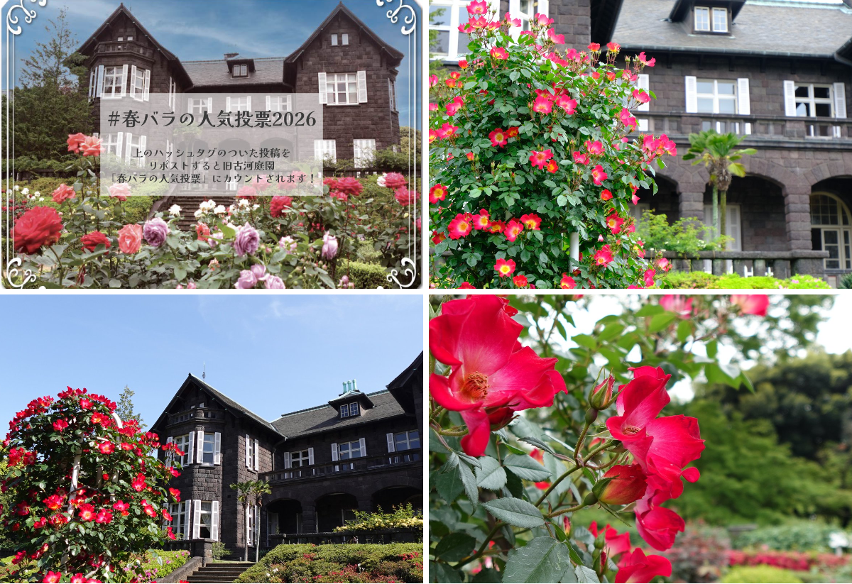 旧古河庭園 on X: 