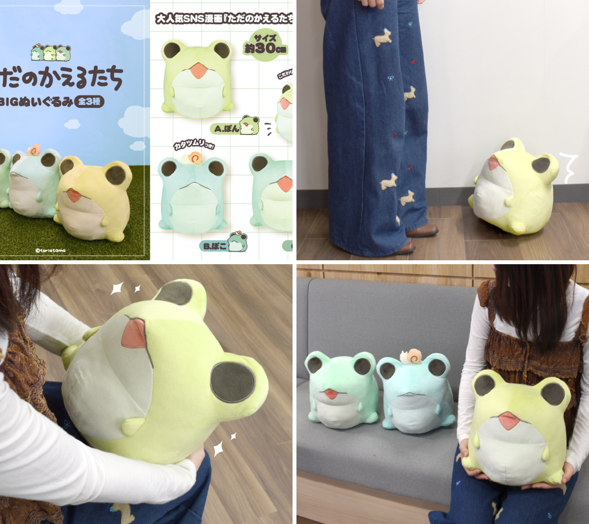 【全３種セット】ただのかえるたちBIGぬいぐるみ全種セット 公式】フクヤ｜プライズ on X: 