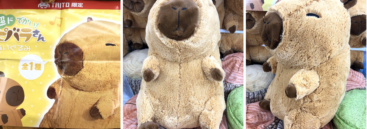 タイステ旭店 on X: 