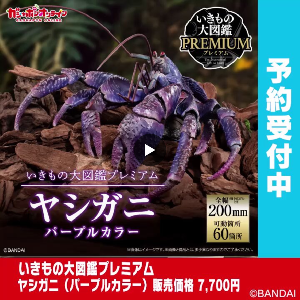 公式】バンダイ ガシャポン on X: 
