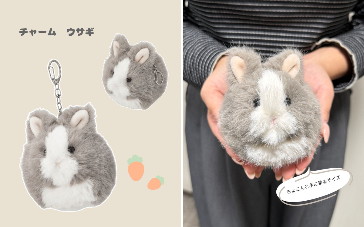 ニトリ デコホーム |インテリア・雑貨 on X: 