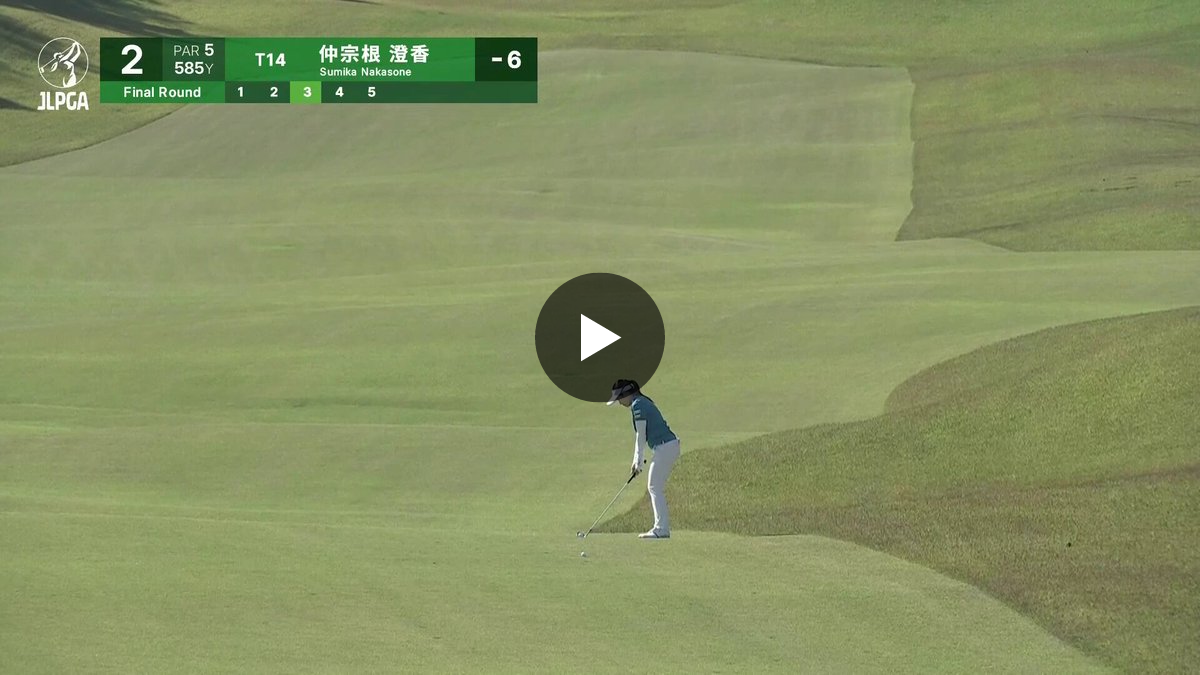 日本女子プロゴルフ協会(JLPGA) on X: 