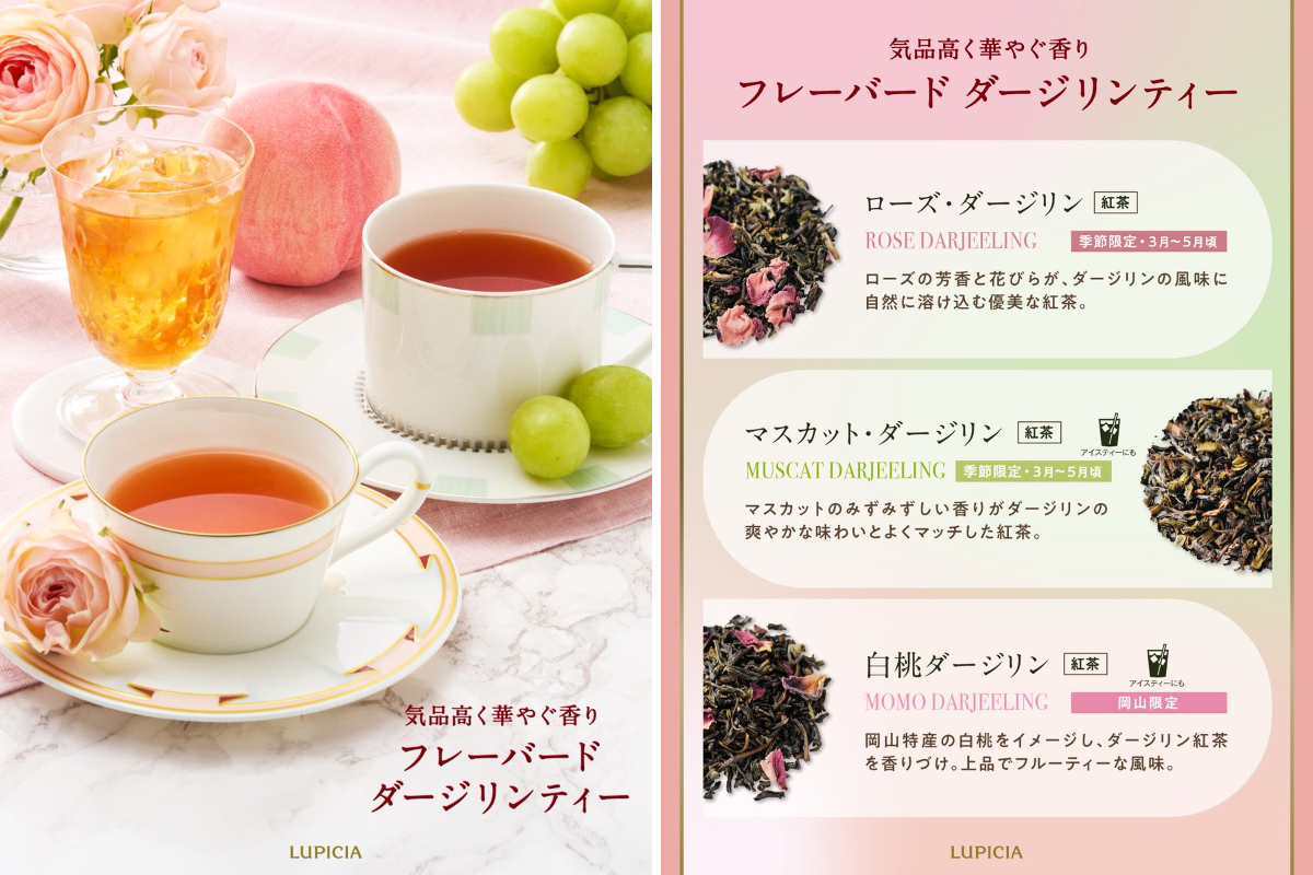 LUPICIA ルピシア on X: 