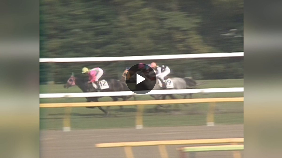 カンテレ競馬 on X: 