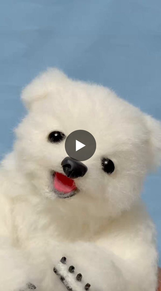 ゆーや🧸テディベアアーティスト🧸 on X: 