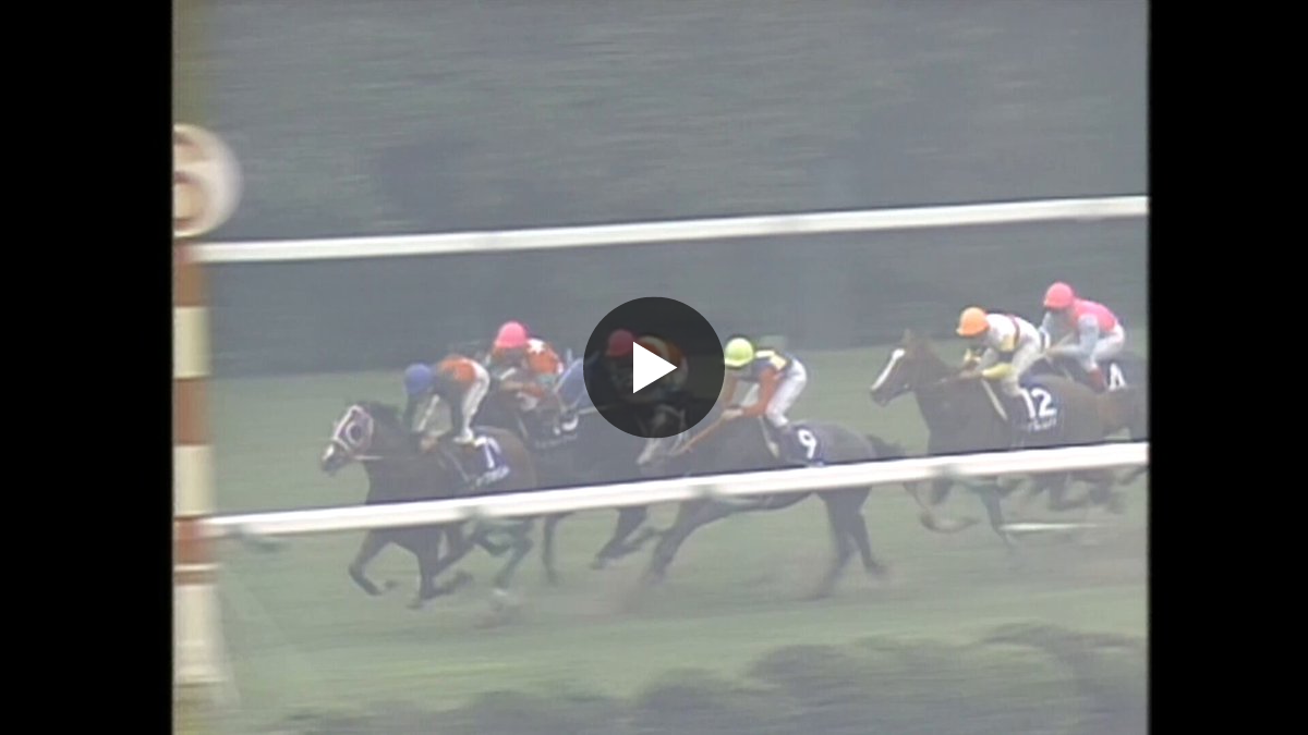 カンテレ競馬 on X: 