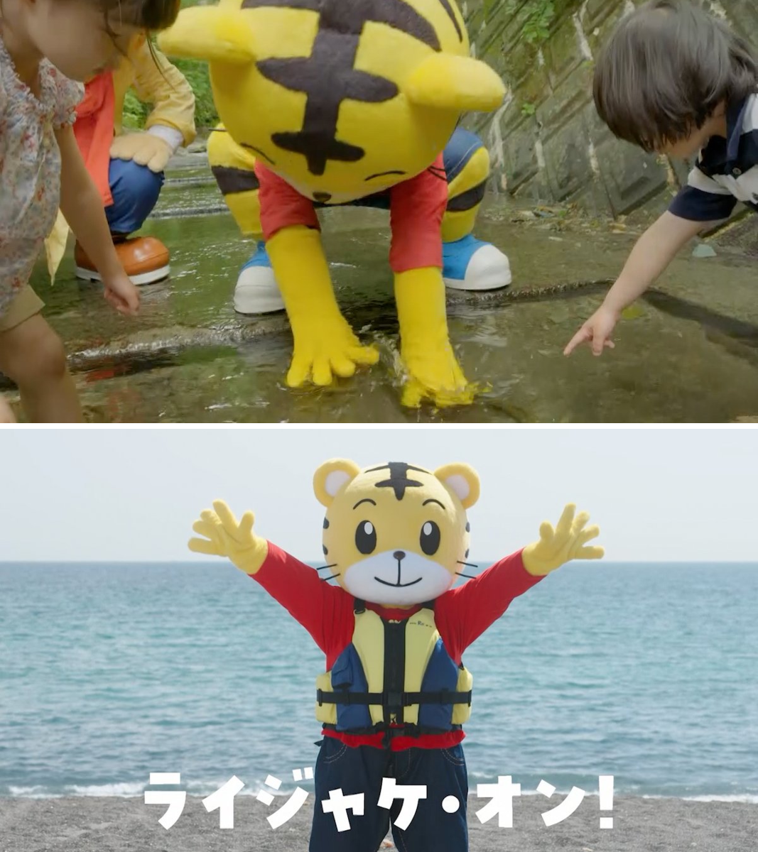 しまじろう しまじろうのわお！【公式】 on X: 