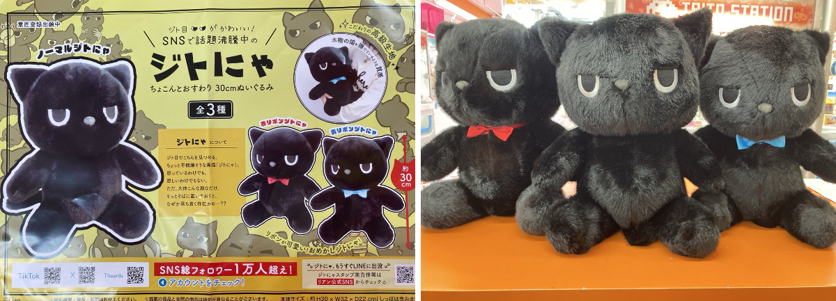 タイステ 札幌狸小路4丁目店 on X: 