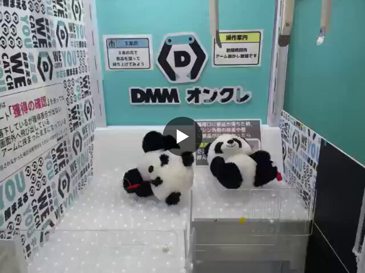 天野名雪 on X: 