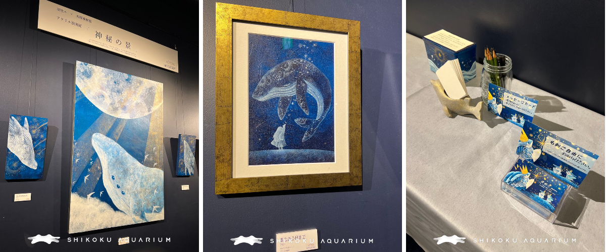 四国水族館 【公式】 on X: 