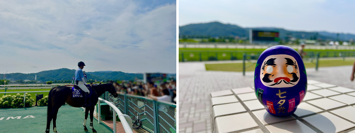 JRA福島競馬場 on X: 