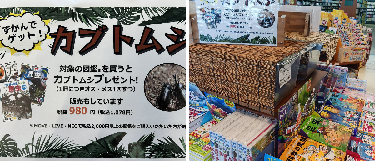 明文堂書店 氷見店 on X: 