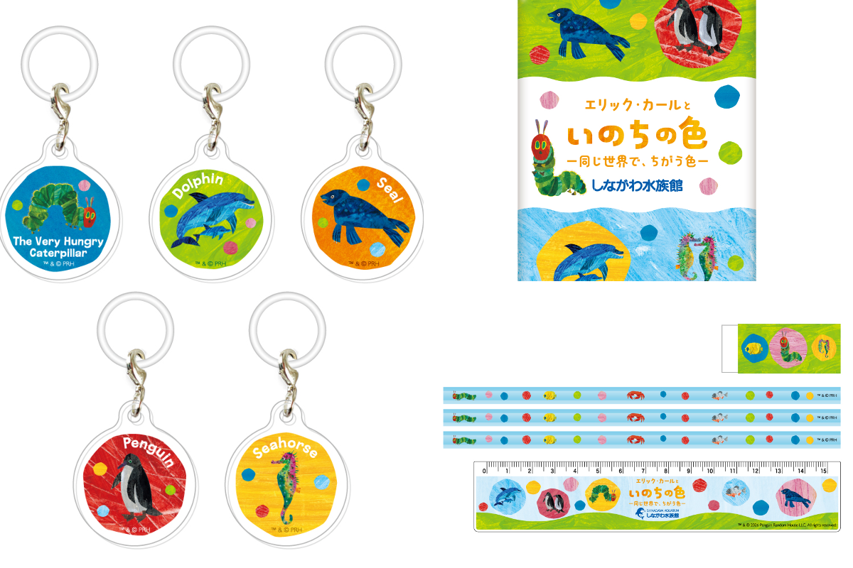 しながわ水族館 on X: 