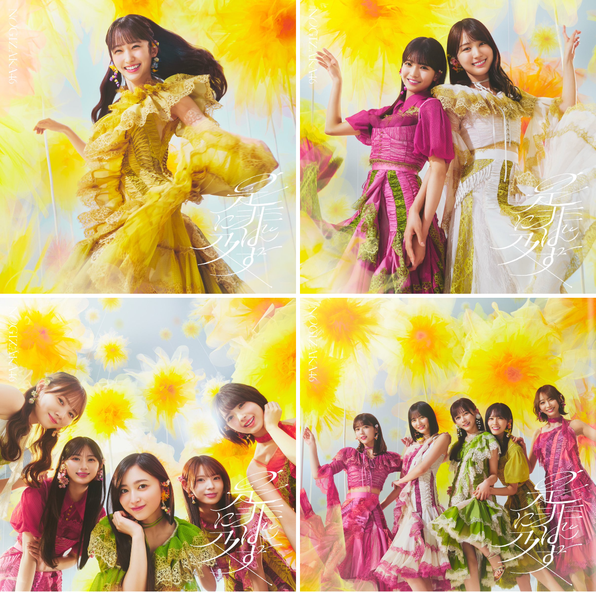 乃木坂46 on X: 