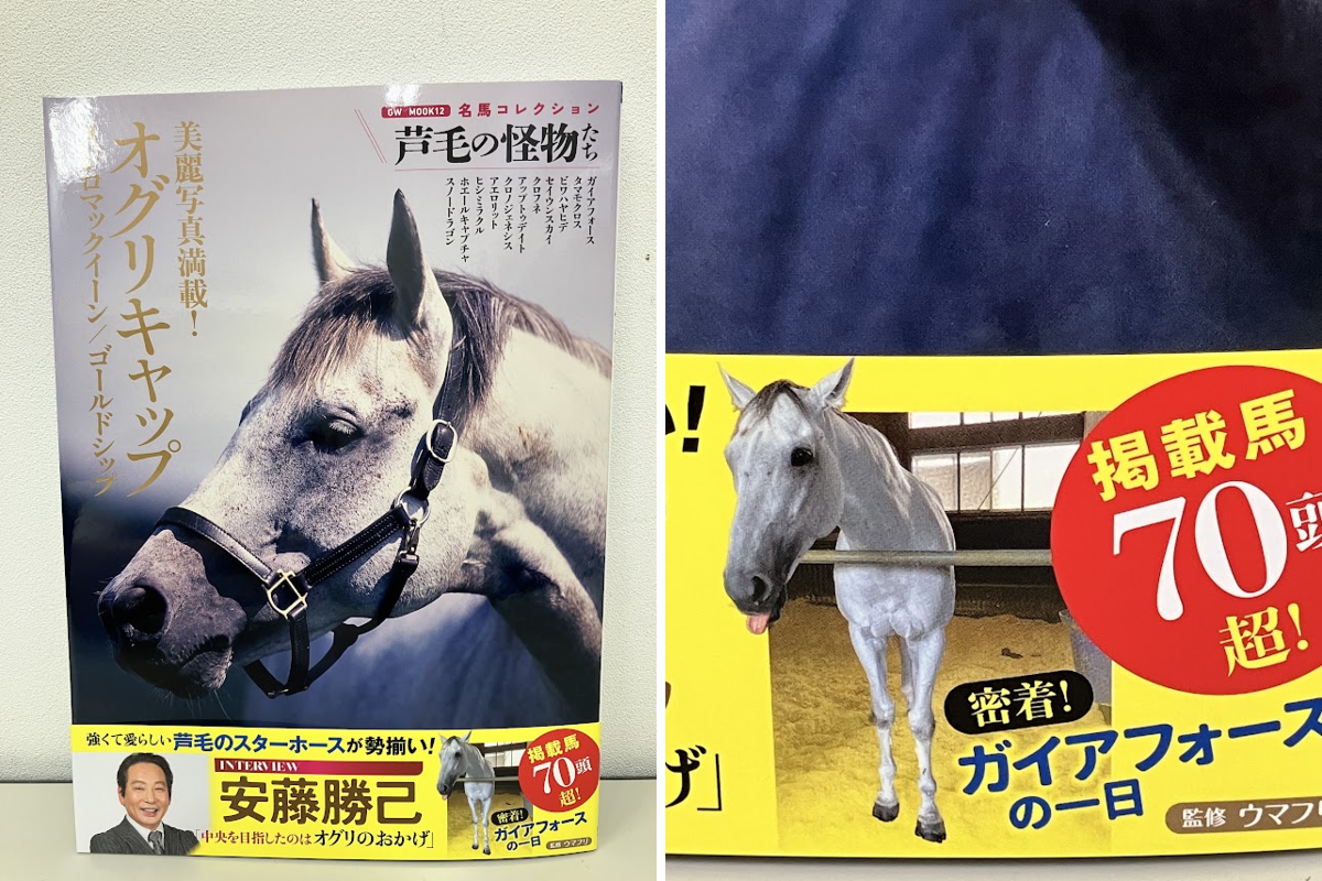 丸善丸の内本店 on X: 