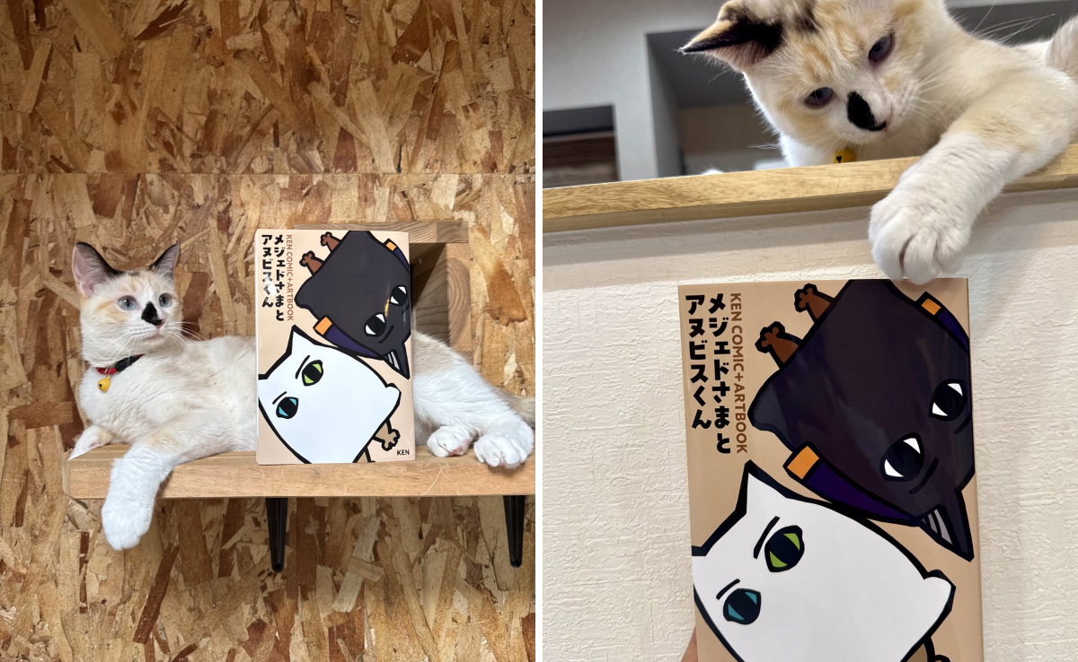 なみそ📕KEN/メジェド4コマ書籍化！ on X: 