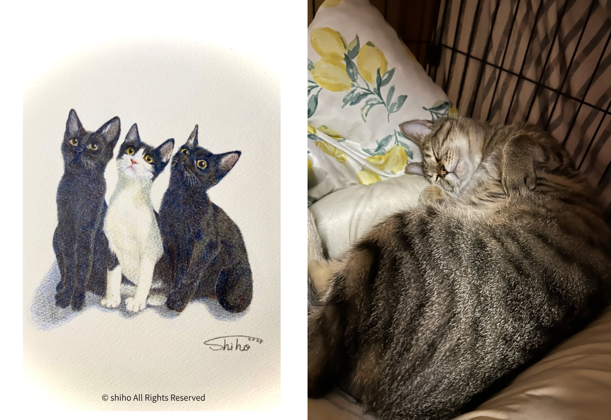 shiho【色鉛筆画】 on X: 
