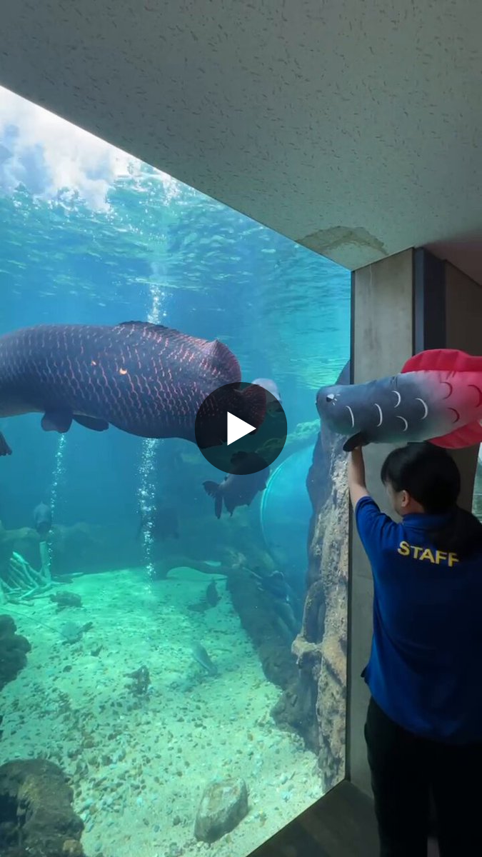 栃木県なかがわ水遊園【公式】 on X: 