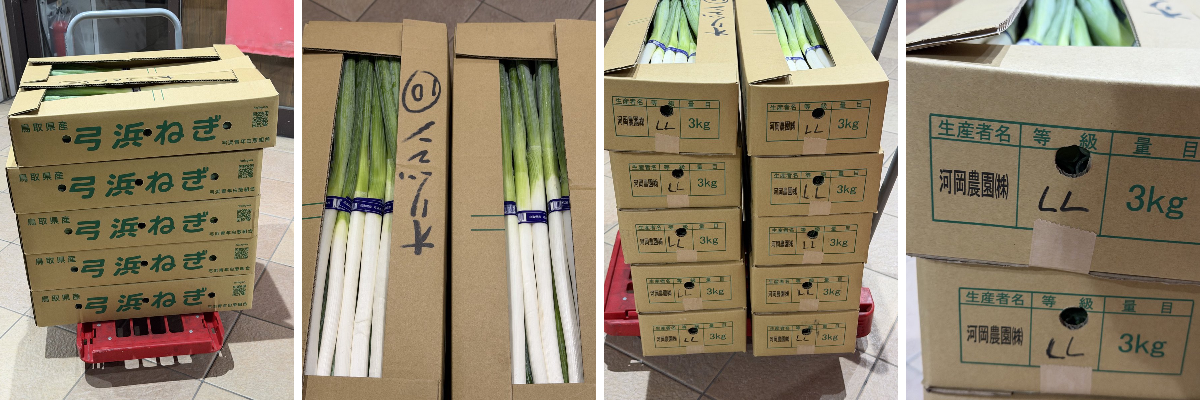 りょおおおおおう出品 2087654178600661356