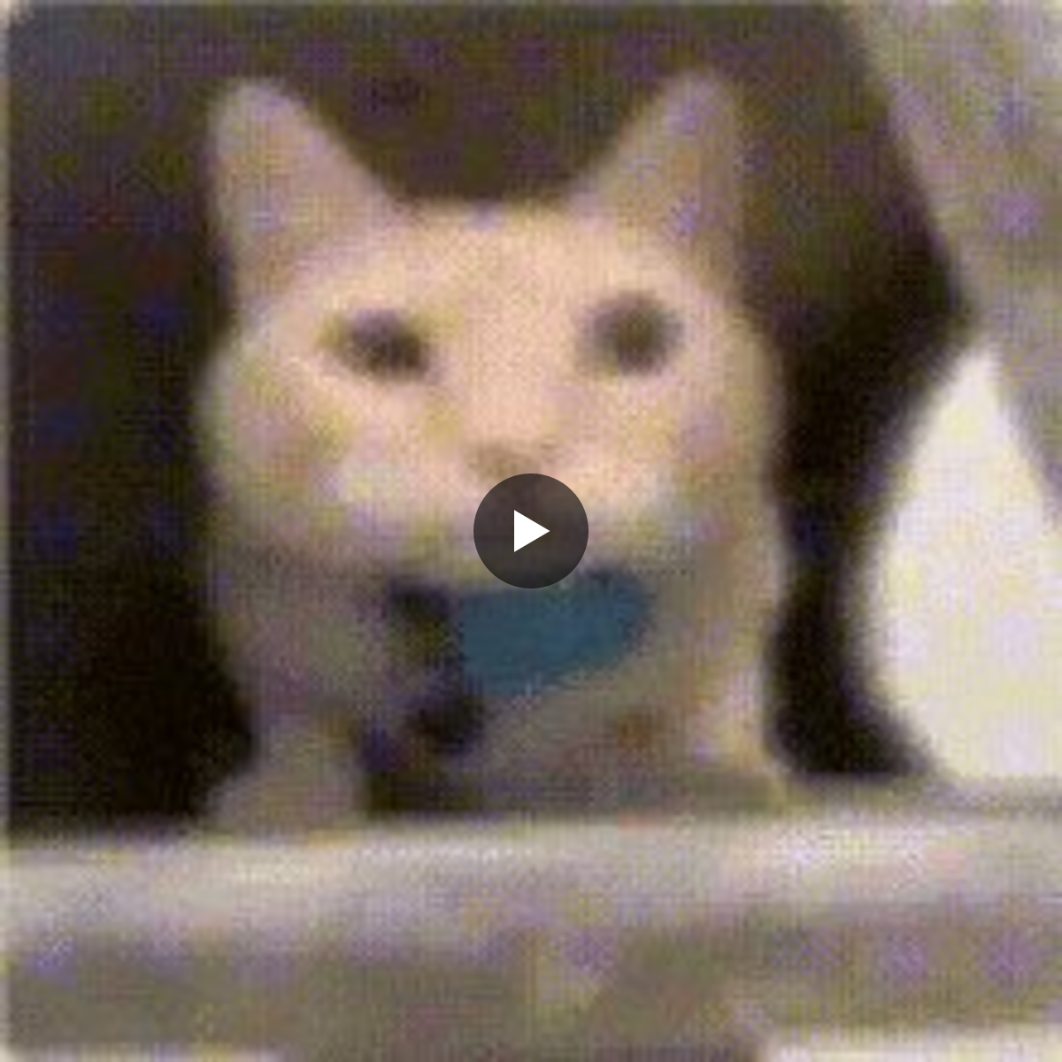 Funny Robot on X: 
