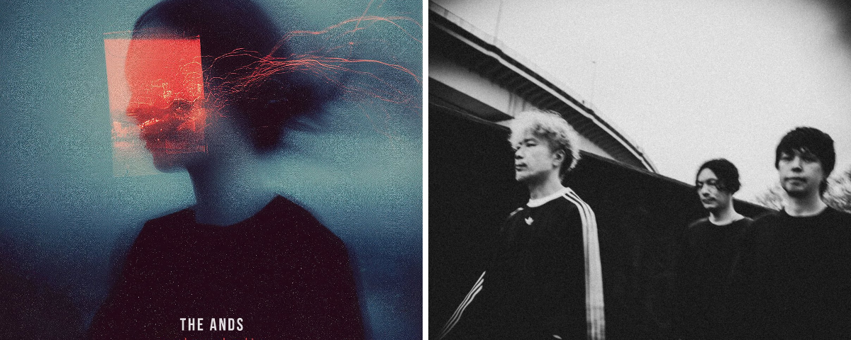 𝗧𝗛𝗘 𝗔𝗡𝗗𝗦 on X: 