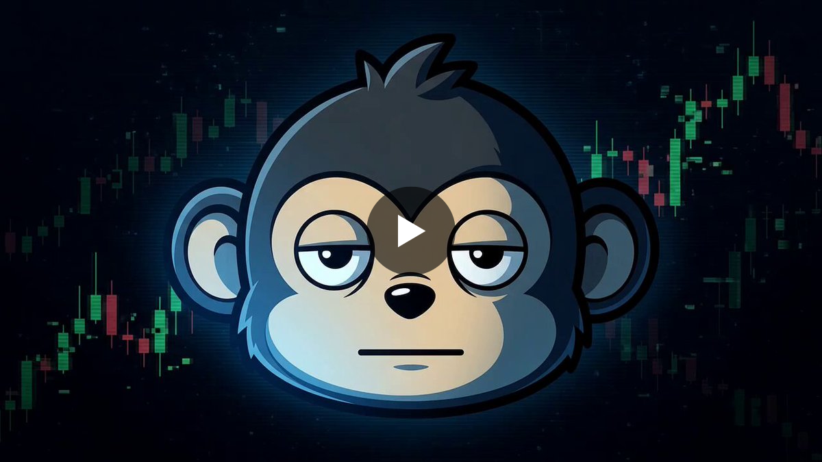 AYOMI🩵💙🩵 on X: "@KimaP2E has had enough of dog coins, frogs, and AI ...