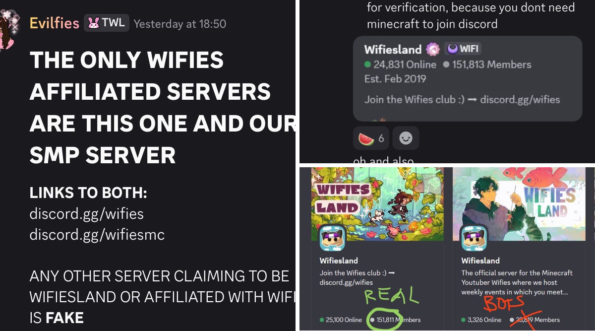Screenshots of cloned Wifiesland Discord server with identical channels and impersonator account wifieswastaken attempting verification scam