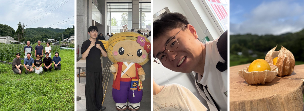 【大特価｜送料込】★現品のみ★ 茨城県高萩市＿在庫1点 LuckyFM茨城放送（ニュースアカウント） on X: 