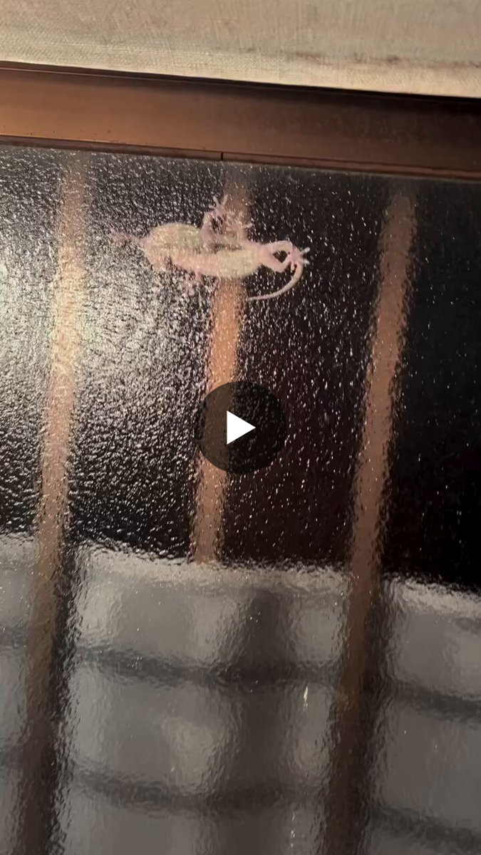 ️ kiwi 🥝 on X: 