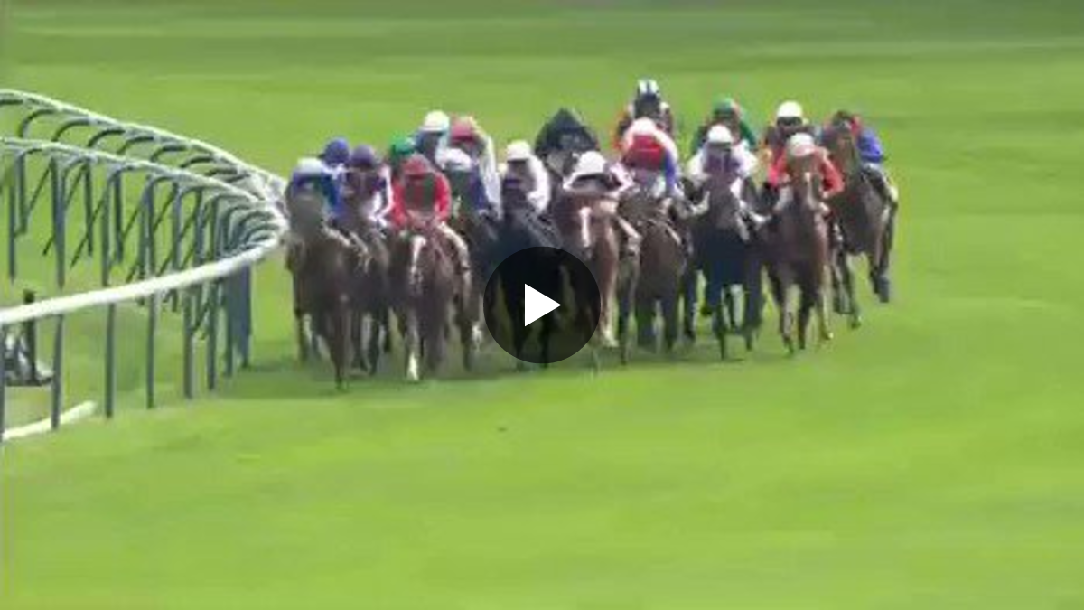 日刊スポーツ競馬 極ウマ【公式】 on X: 